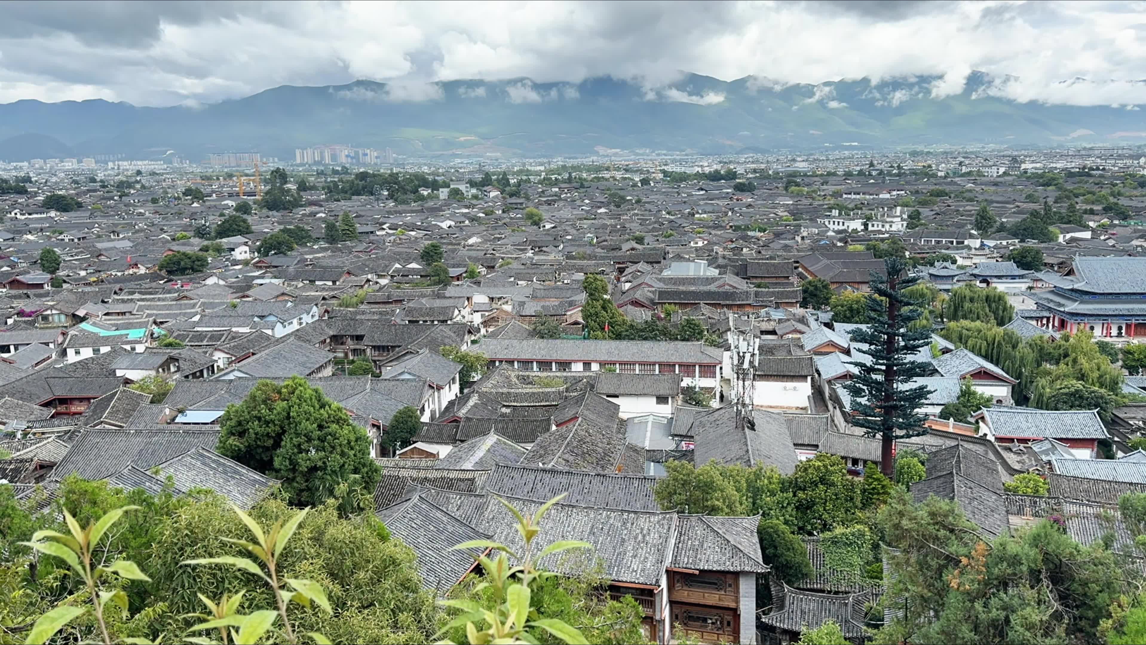 丽江风景|每一次抬头都是不一样的美