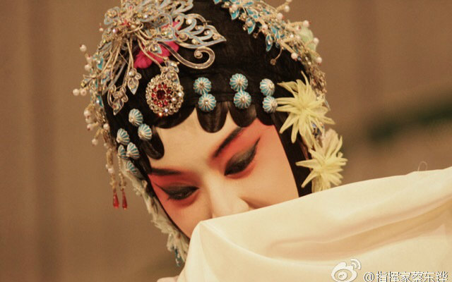 昆曲桃花扇牡丹亭选段单雯张争耀俞玖林刘煜晚会版