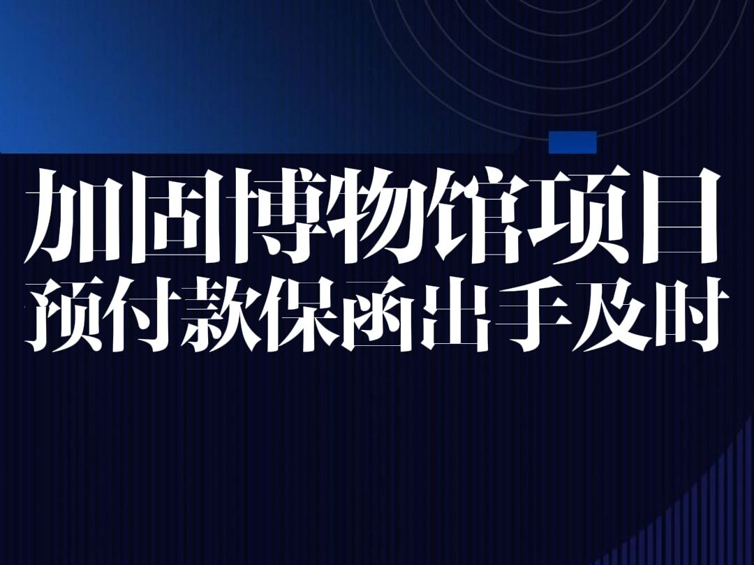 犀牛卫APP加固博物馆项目,预付款保函出手及时哔哩哔哩bilibili