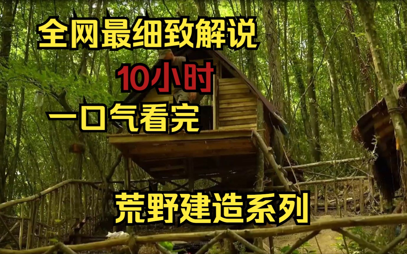 [图]【10小时】一口气看完9999部荒野建造系列，看大神如何荒野变豪宅！助眠长视频完整版，建议收藏观看