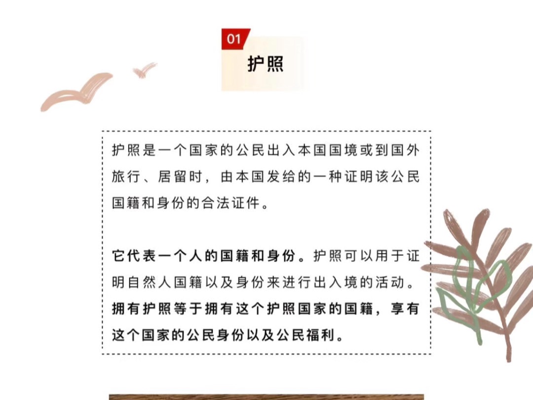 揭秘海外身份8大必知常识,让你的出国之路不再迷茫!哔哩哔哩bilibili