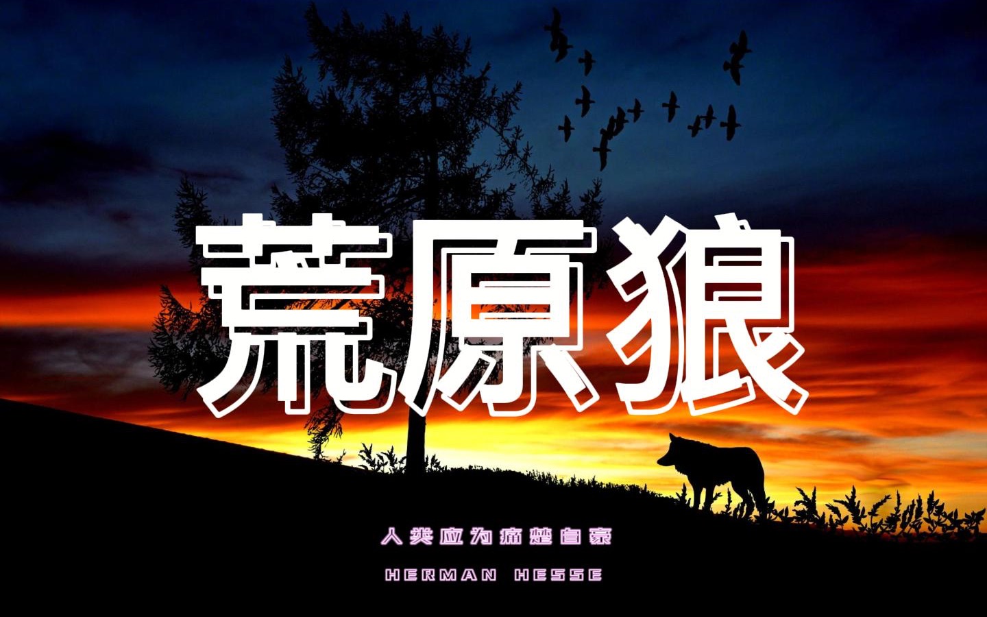 在痛楚里狂啸,在死亡前高歌!黑塞里程碑之作《荒原狼》