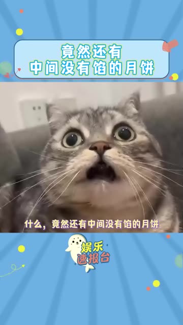 山西空壳月饼也是火了哔哩哔哩bilibili