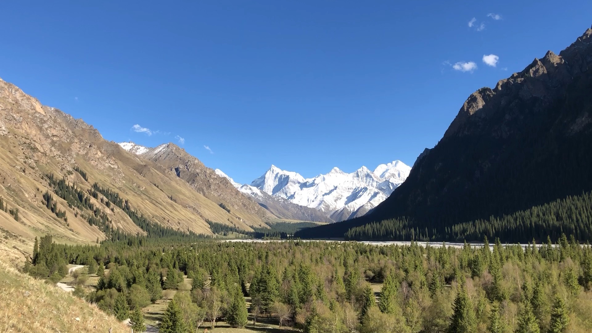 昭苏县夏塔峡谷雪莲峰