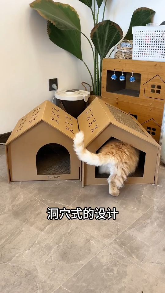 用纸皮做的猫窝