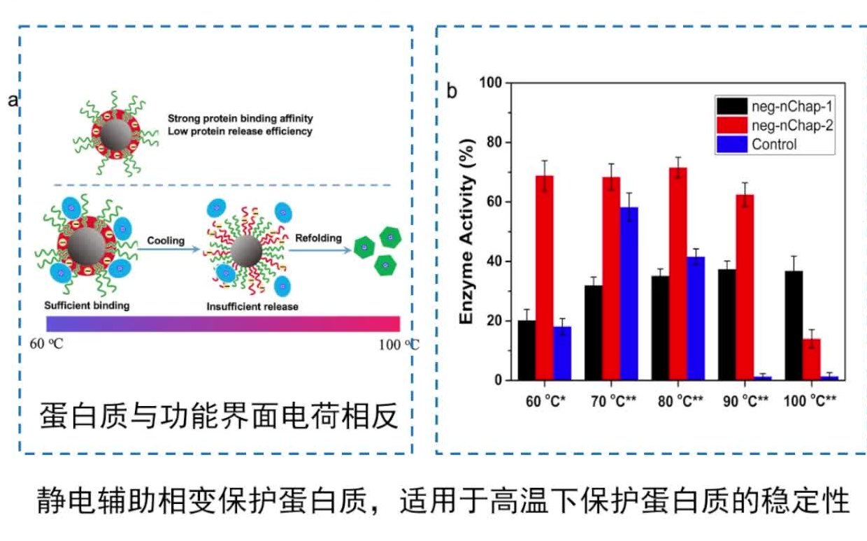 20220330南开大学史林启纳米分子伴侣哔哩哔哩bilibili