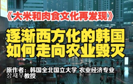 《文化,大米和肉食》逐步西方化的韩国如何走向农业毁灭哔哩哔哩bilibili