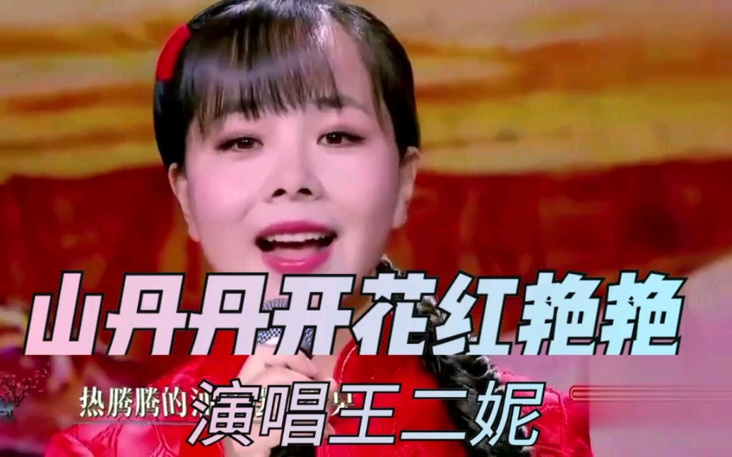 [图]《山丹丹开花红艳艳》演唱:王二妮，朴实无华声音甜美，令人陶醉