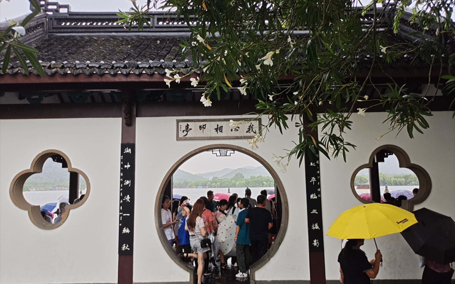 西湖雨中的我心相印亭,想要的答案,终于释然!