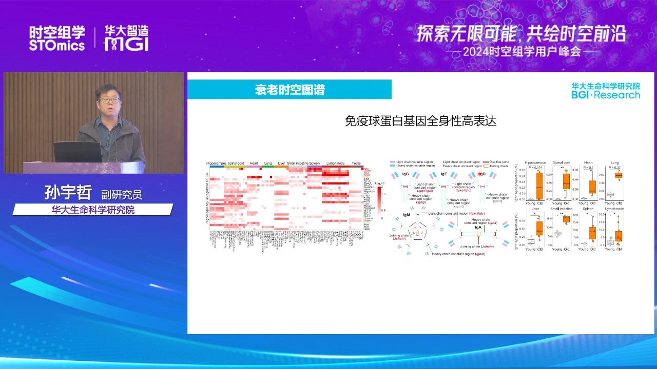 Cell 一作分享 | Stereoseq助力构建全球首份多器官衰老时空图谱哔哩哔哩bilibili