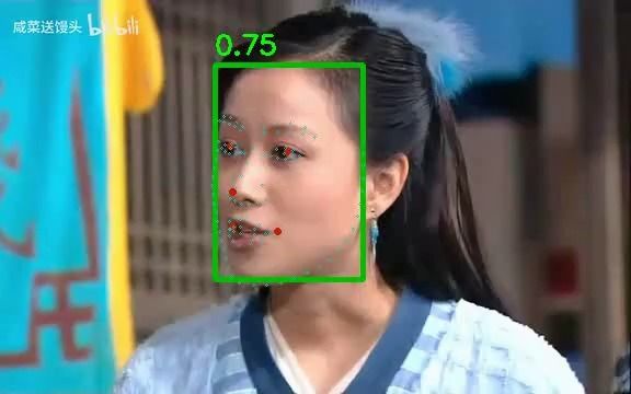 人脸检测 人脸106关键点检测 项目演示哔哩哔哩bilibili