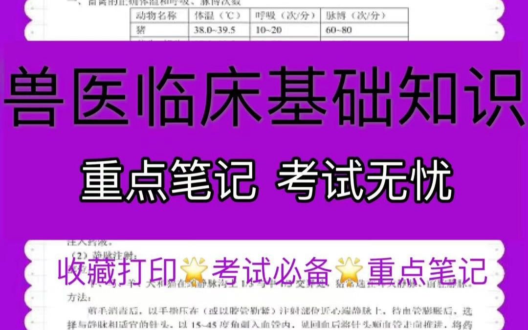 不用熬夜复习兽医临床基础知识数学也能考95𐟒奓”哩哔哩bilibili