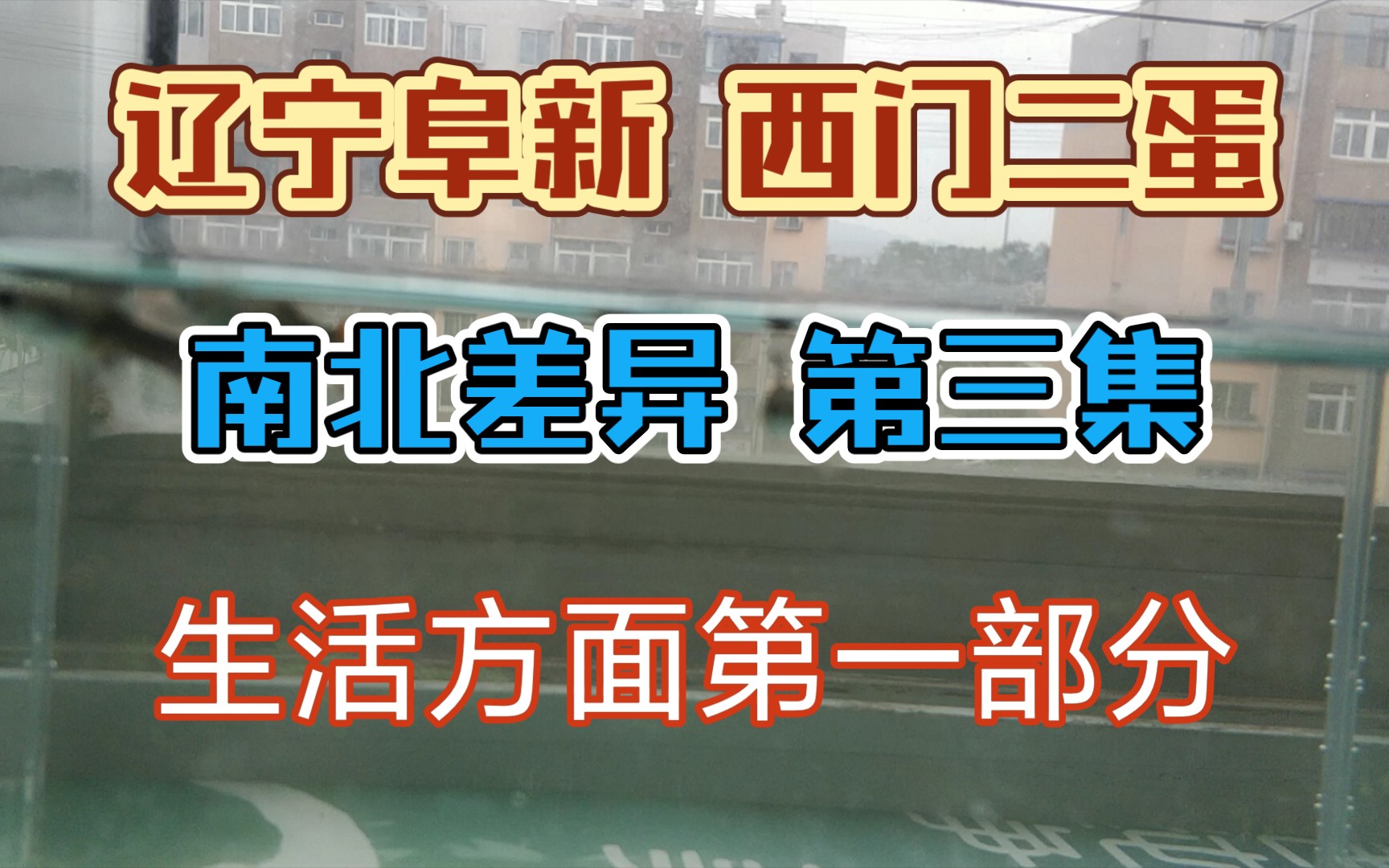 南方小伙伴必需了解的南北差异问题 辽宁阜新新移民须知 生活方面的差异哔哩哔哩bilibili