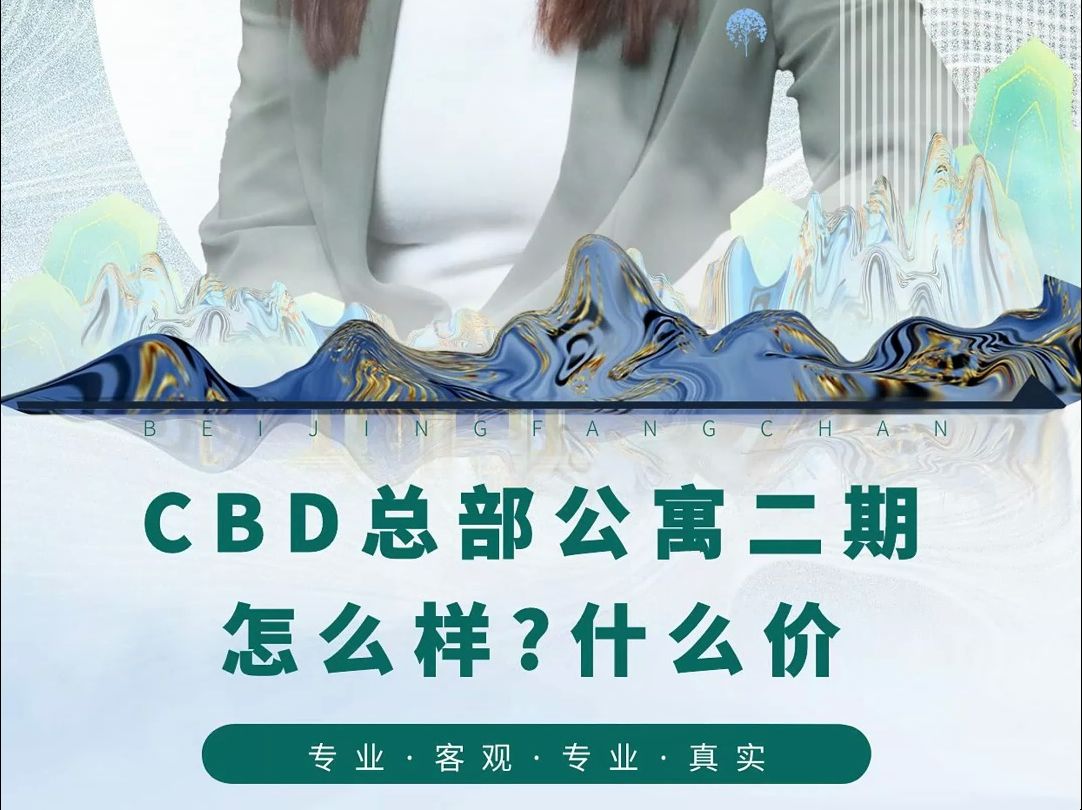 【国计民生】CBD总部公寓项目分析哔哩哔哩bilibili