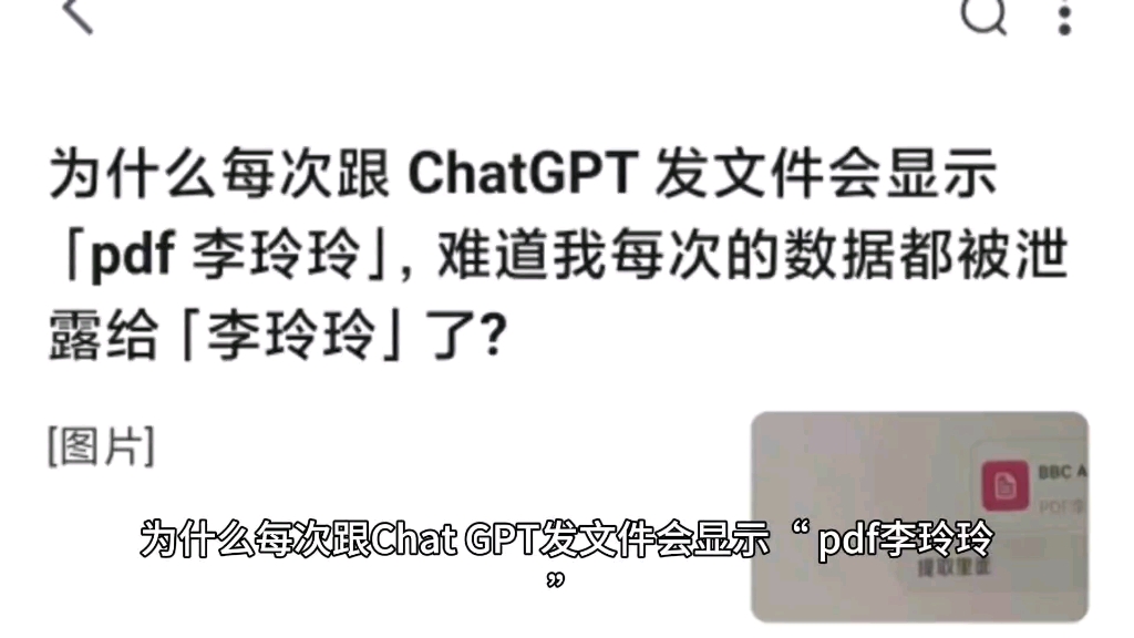 为什么每次跟 ChatGPT 发文件会显示「pdf 李玲玲」,难道我每次的数据都被泄露给「李玲玲」了?哔哩哔哩bilibili