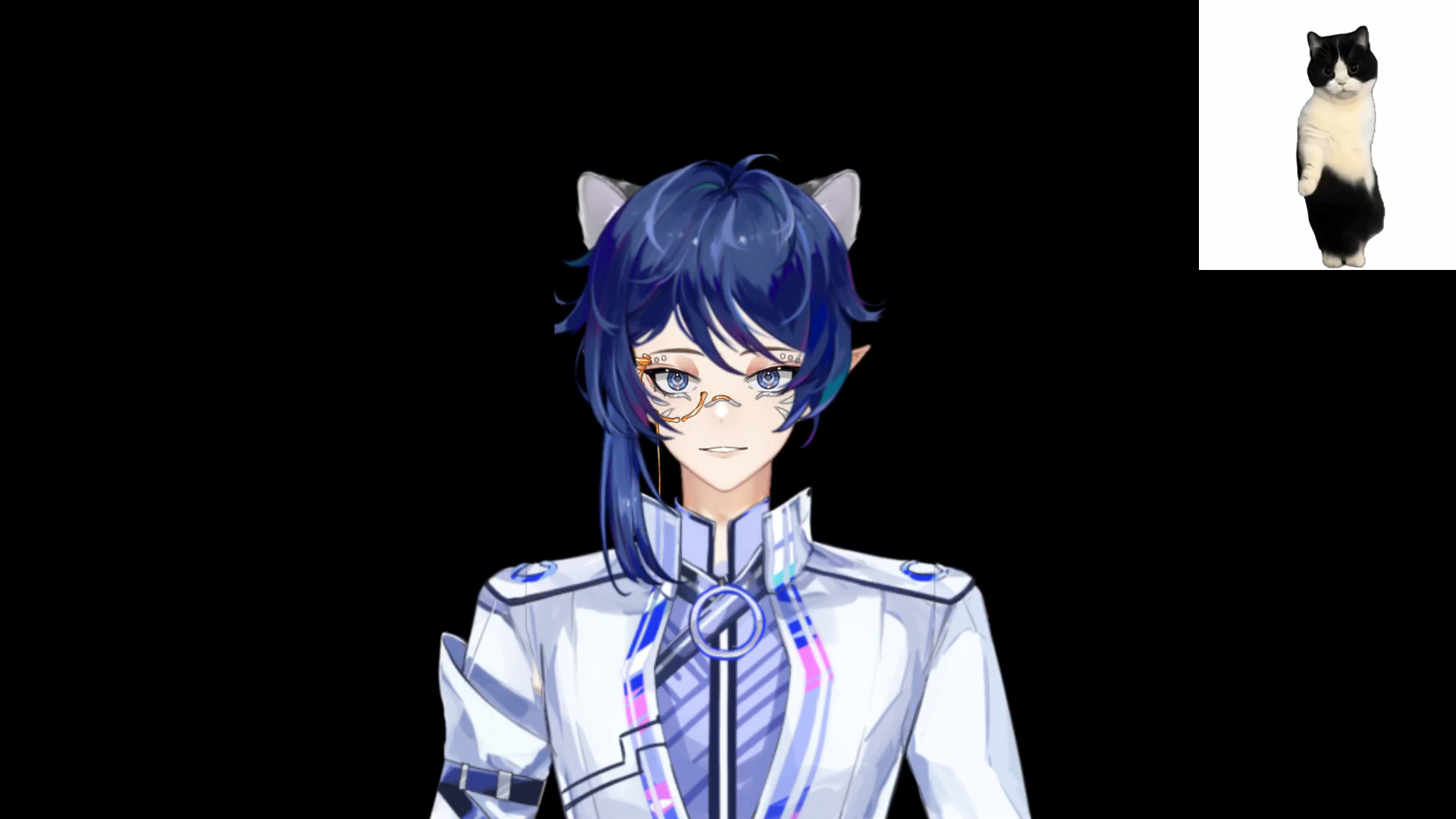 虚拟形象～(必剪里的)