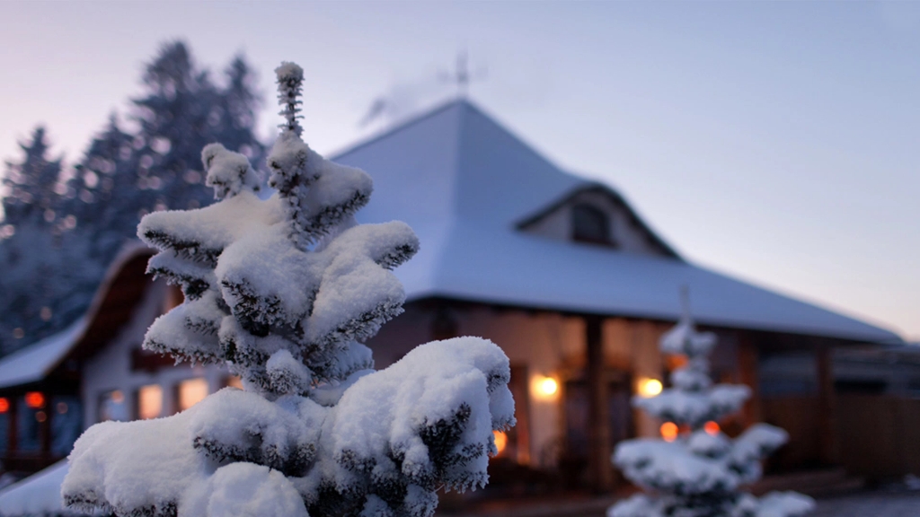 [图]夜雪——白居易