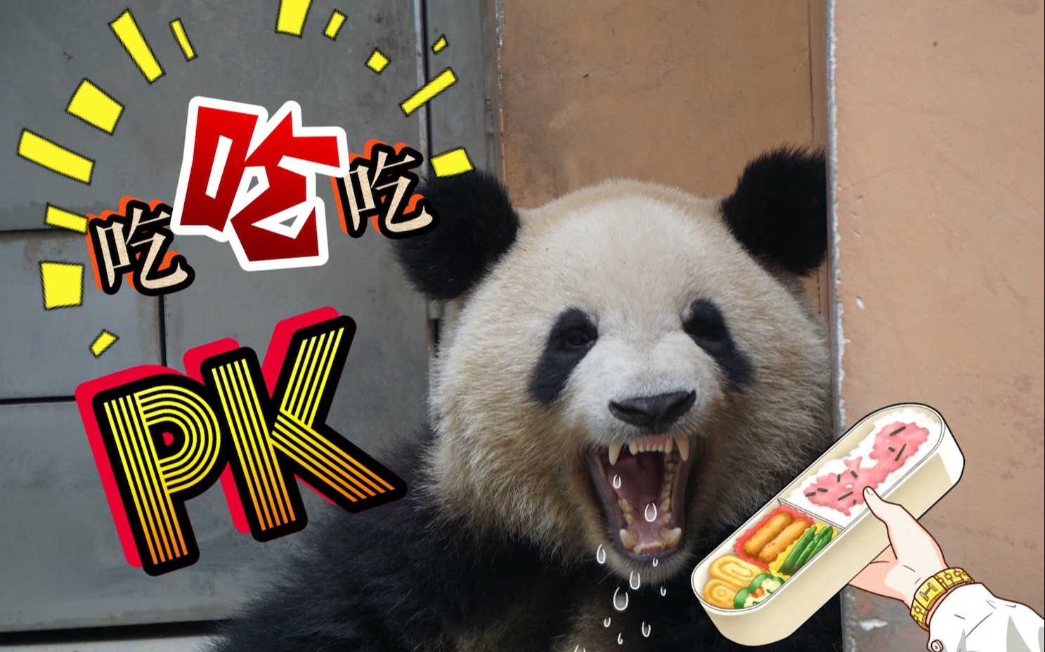 【大熊猫】究竟谁才是斧头山吃货界扛把子?我五毛钱压萌萌