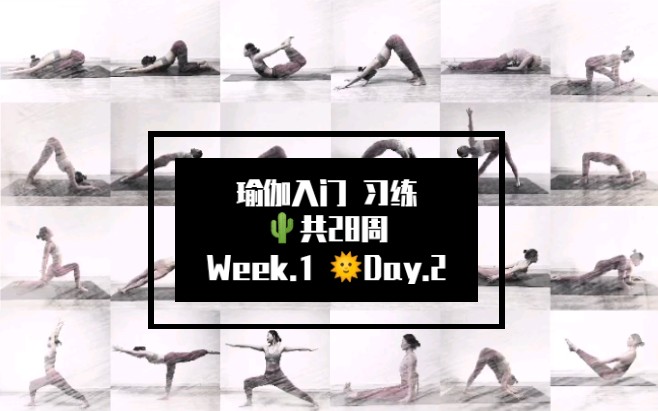 瑜伽入门 28周 习练——Week.1 Day.2(口令版)哔哩哔哩bilibili