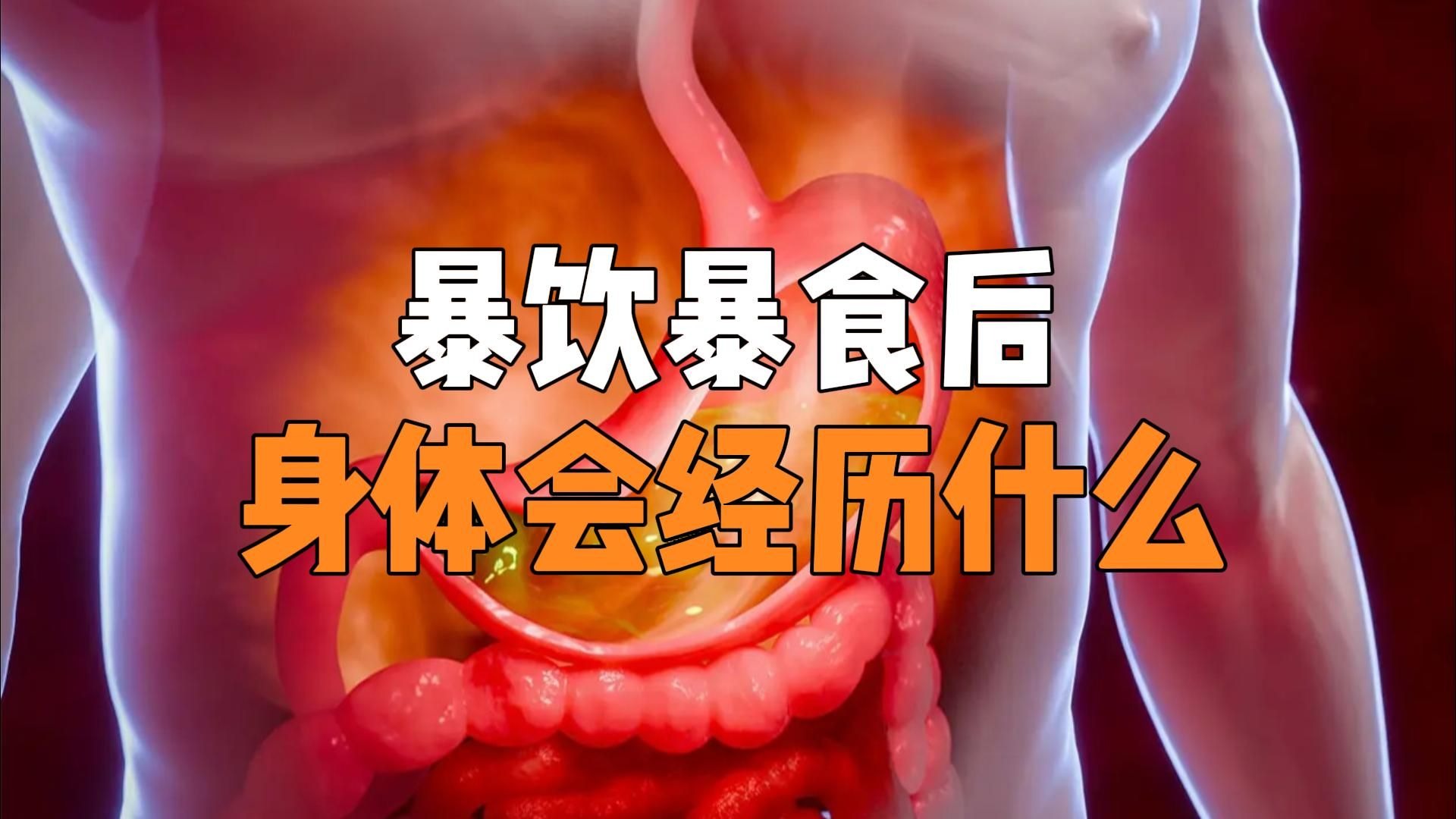 你知道吃撑后,消化系统都要经历什么吗?-科学探索飞船-科学探索飞船-哔哩哔哩视频