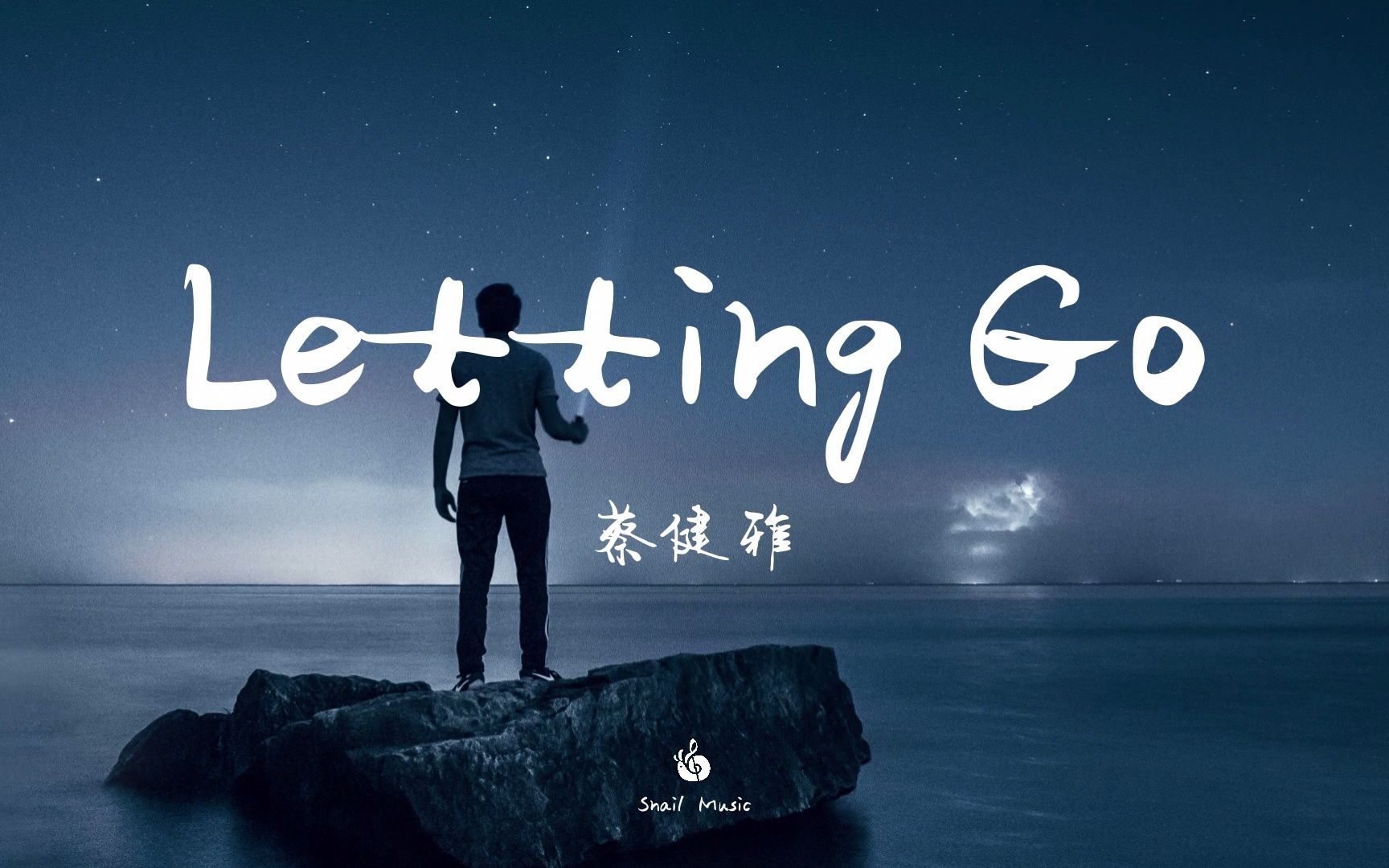 【无损音质】Lettting Go蔡健雅「I'm letting go 我终于舍得为你放开手,因为爱你爱到我心痛.」【动态歌词】♪哔哩哔哩bilibili