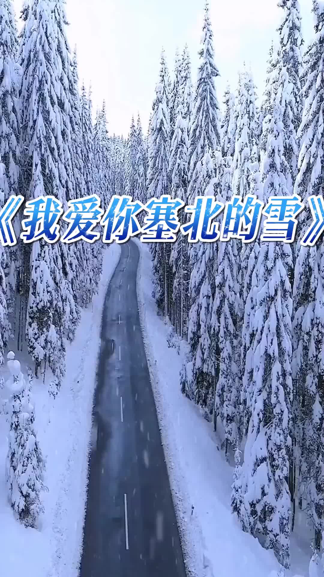 我爱你塞北的雪粉丝点歌真人真唱支持抖音传播正能量创作灵感翻唱