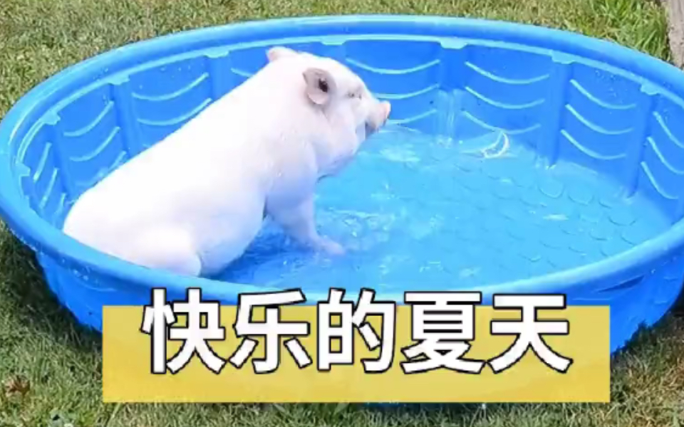 快乐的夏天哔哩哔哩bilibili