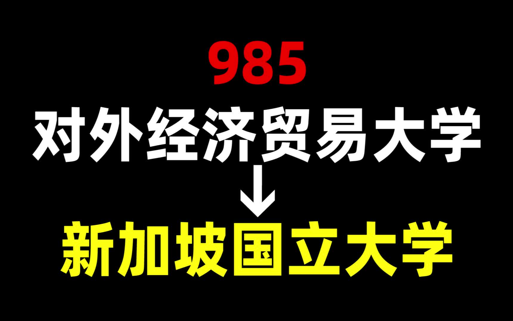 从985到NUS,我都经历了什么?对外经济贸易大学 | 新加坡国立大学 | 新加坡留学哔哩哔哩bilibili