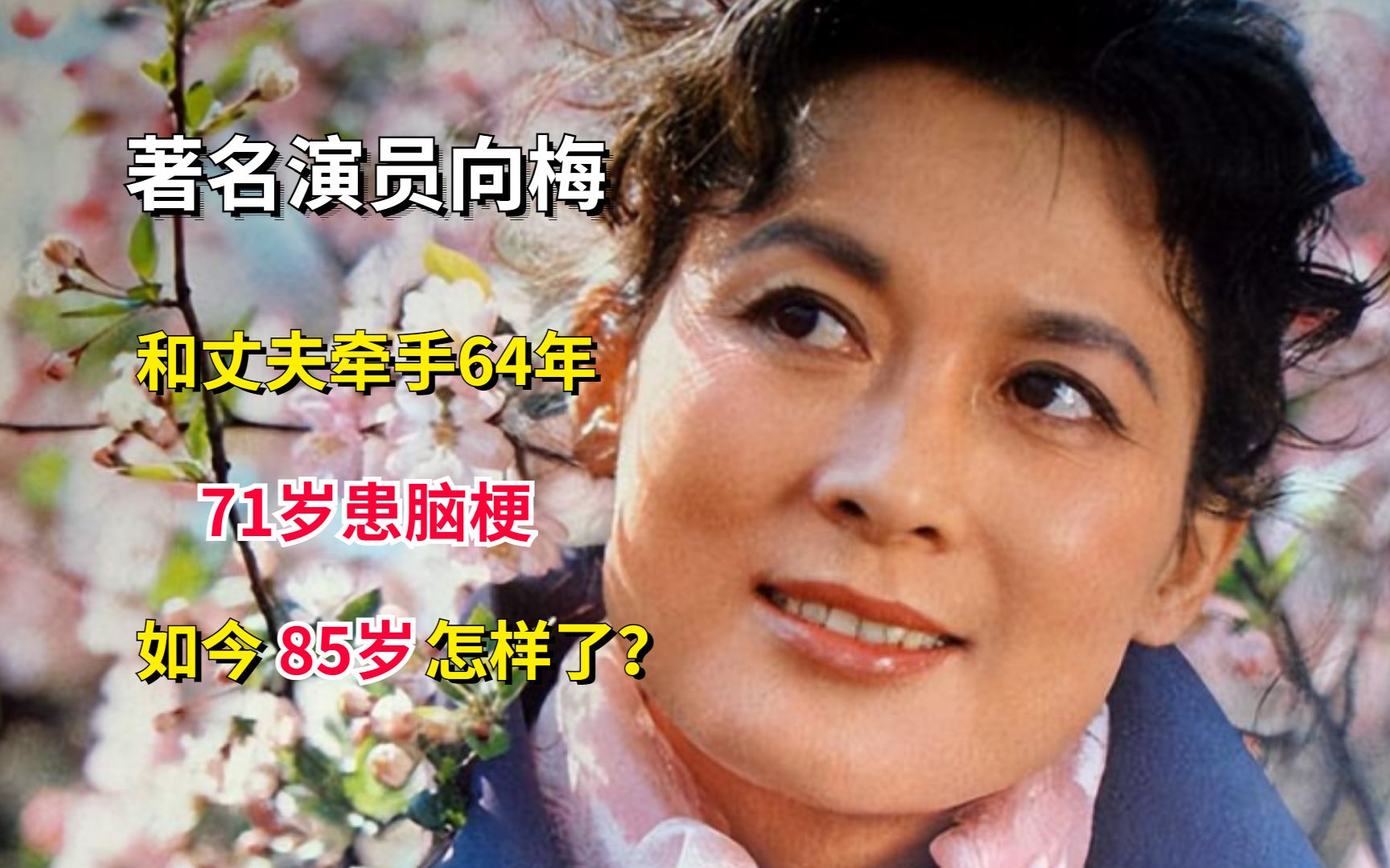 著名演员向梅:和丈夫牵手64年,71岁患脑梗,如今85岁怎样了?哔哩哔哩bilibili