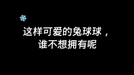 [图]超级可爱的兔球球来了