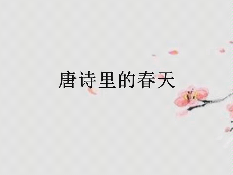 【诗词】唐诗里的春天哔哩哔哩bilibili