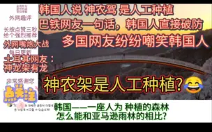 下载视频: 外网看神农架，韩国人却说，神农架是人工种植的森林，结果遭打脸