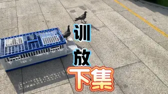 Télécharger la video: 第一次训放，没有想象中的好、加油。