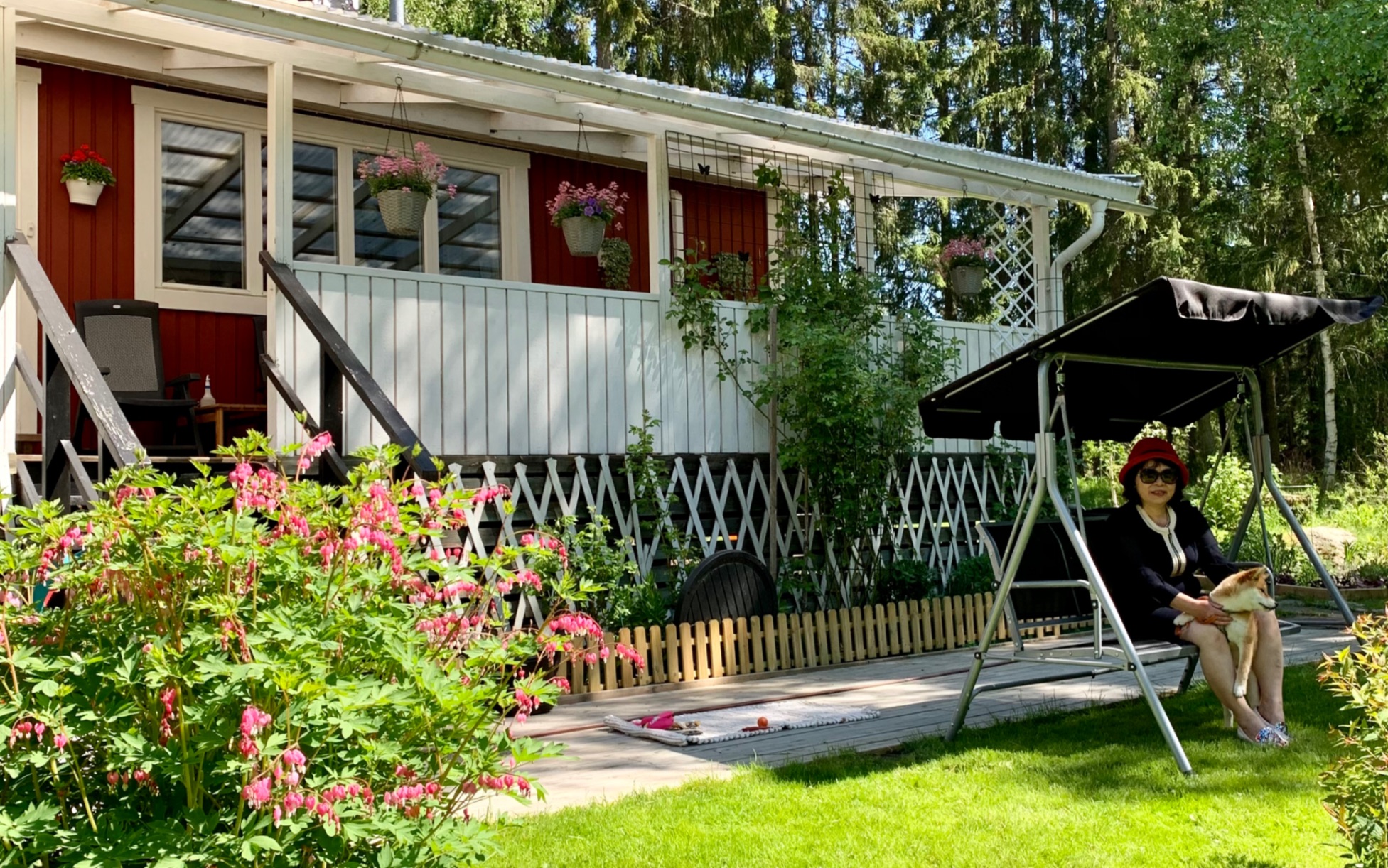 让人忘记时间的的好地方瑞典…森林里的度假小木屋