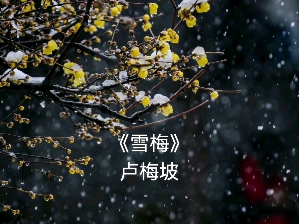 诗词诵读:《雪梅》哔哩哔哩bilibili