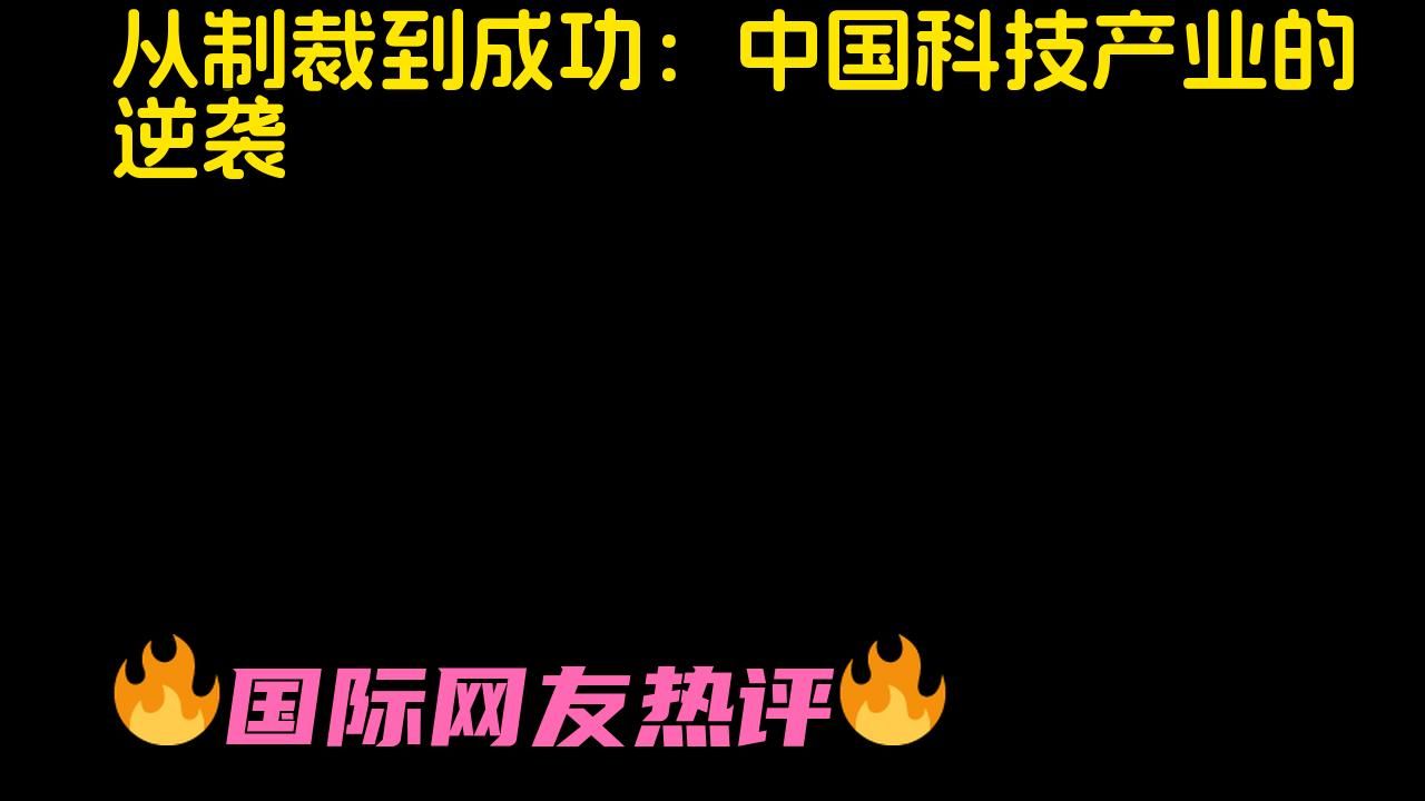 从制裁到成功:解析中国科技行业的崛起哔哩哔哩bilibili