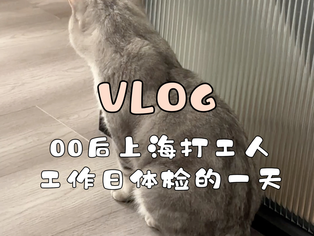 base上海打工人VLOG|工作日流水账|撸猫|体检|工作|逛超市|美食哔哩哔哩bilibili