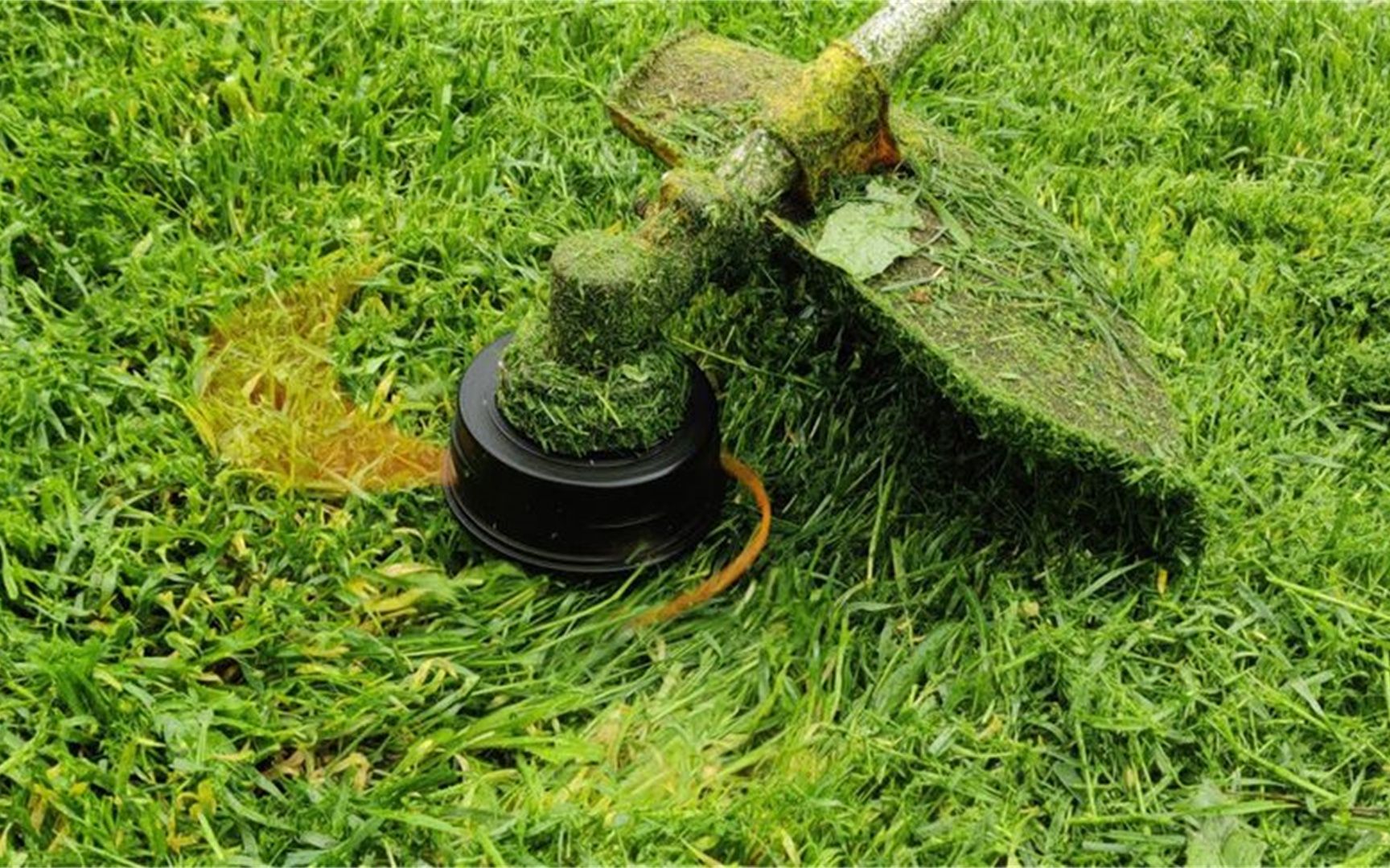 为何要用绳子制作割草机?看完工作原理,终于明白了!