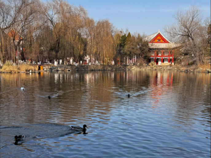 未名湖雪景图片