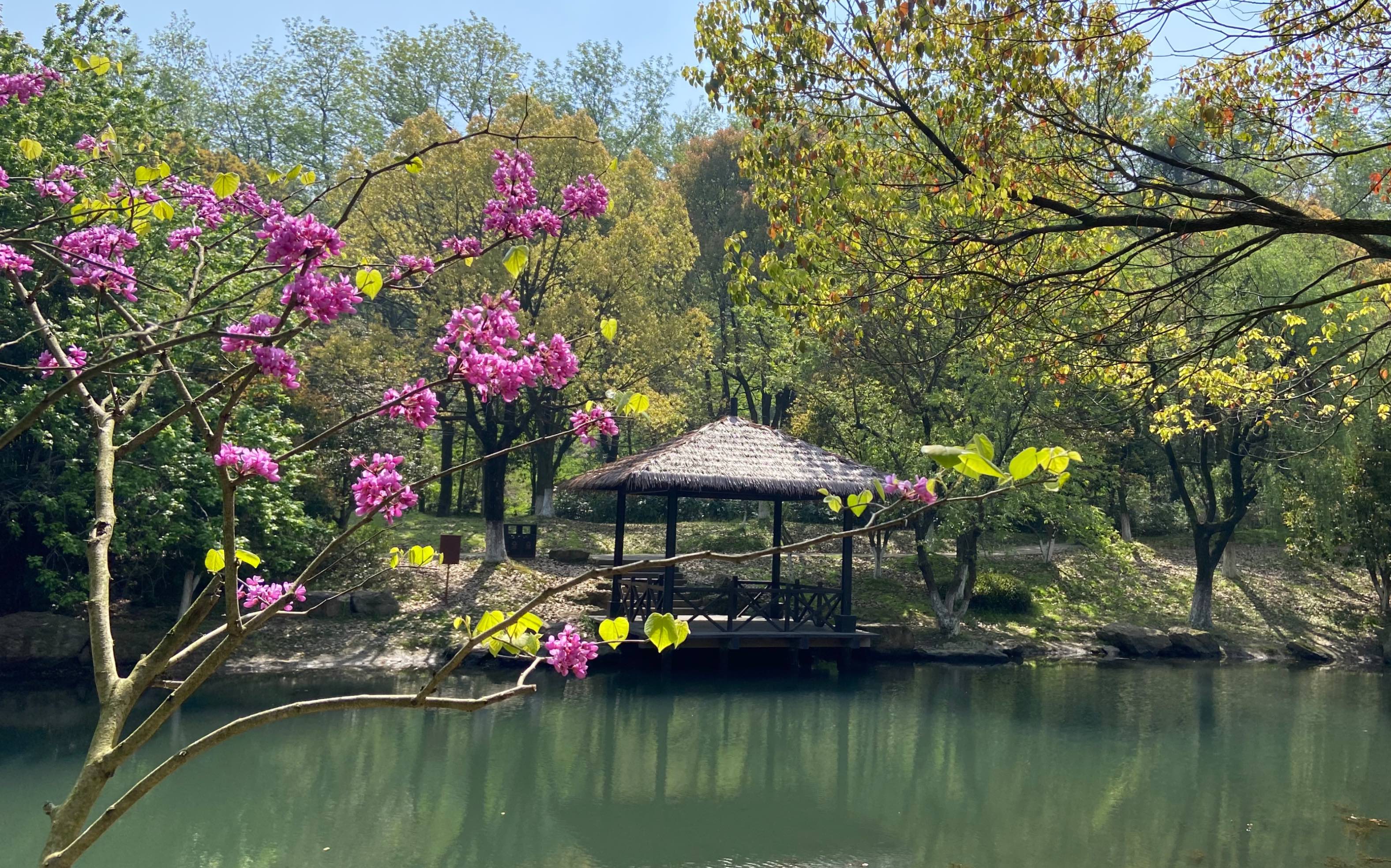 良渚美丽洲公园|阳光明媚,微风不噪,不负春光