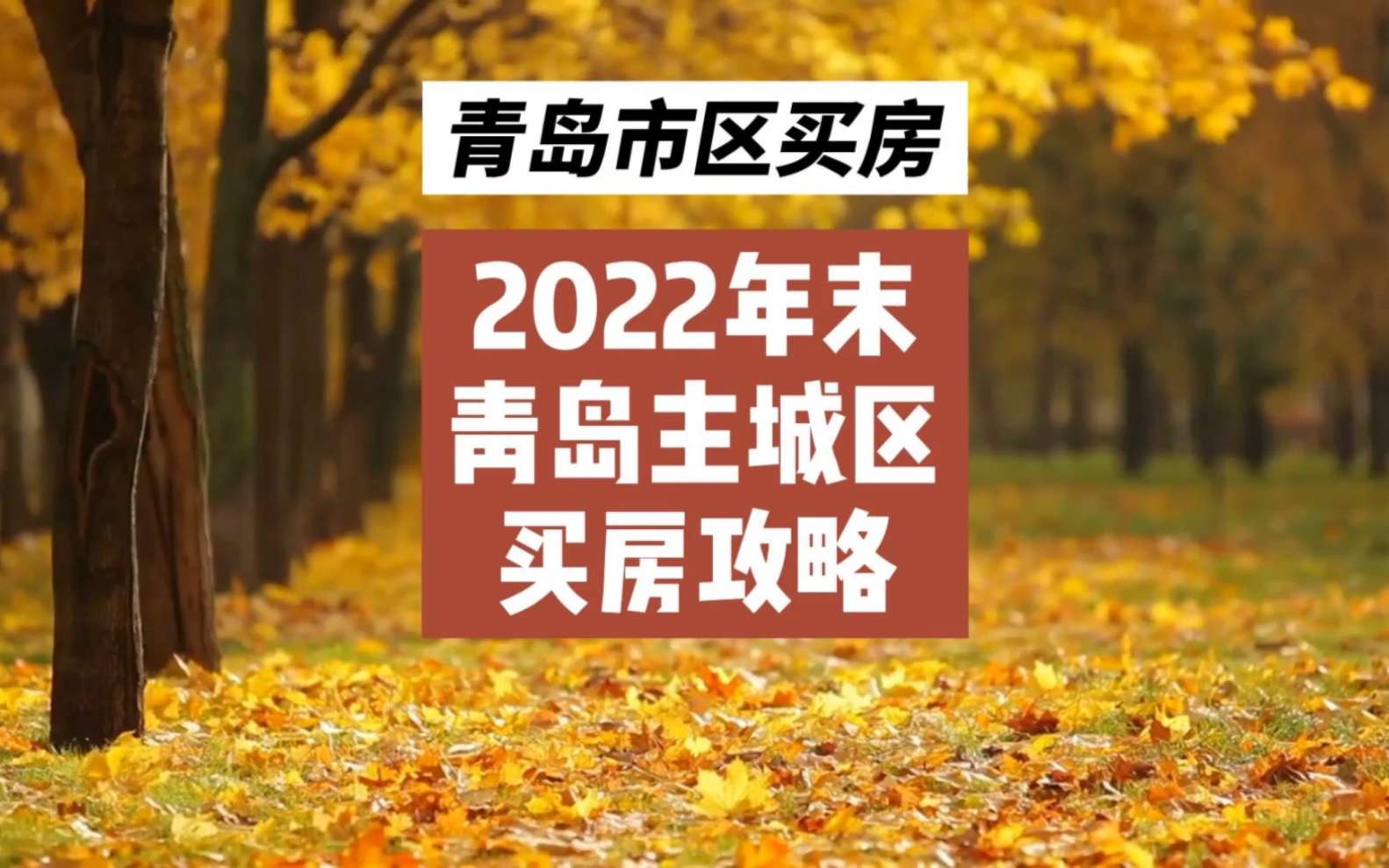 青岛主城区买房攻略,2022年末版,青岛主城区新房目录.哔哩哔哩bilibili