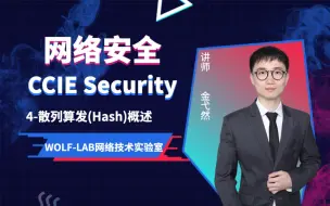 CCIE Security网络安全培训+考试学习视频VP*专题4-散列算发(Hash)概述