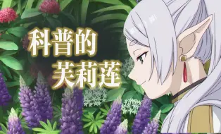 Download Video: 科普的芙莉莲！看动画，认花啦！【天冬博物日志】【二次元博物学】