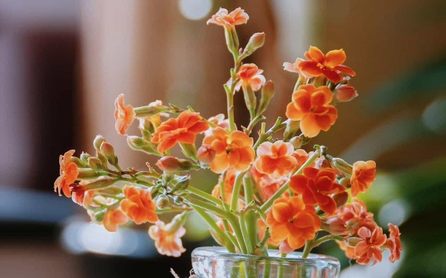 我爱扬剧系列 卖樱桃(2面磁带版)第1面 演唱: 李开敏 凌桂泉_哔哩哔哩