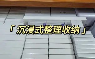 下载视频: 沉浸式整理收纳(上)