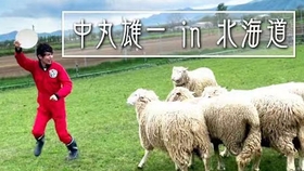 Lovejuice 哔哩哔哩 つロ干杯 Bilibili Lovejuice 哔哩哔哩 つロ干杯 Bilibili