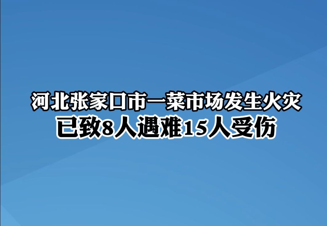 河北张家口市一菜市场发生火灾,已致8人遇难15人受伤哔哩哔哩bilibili