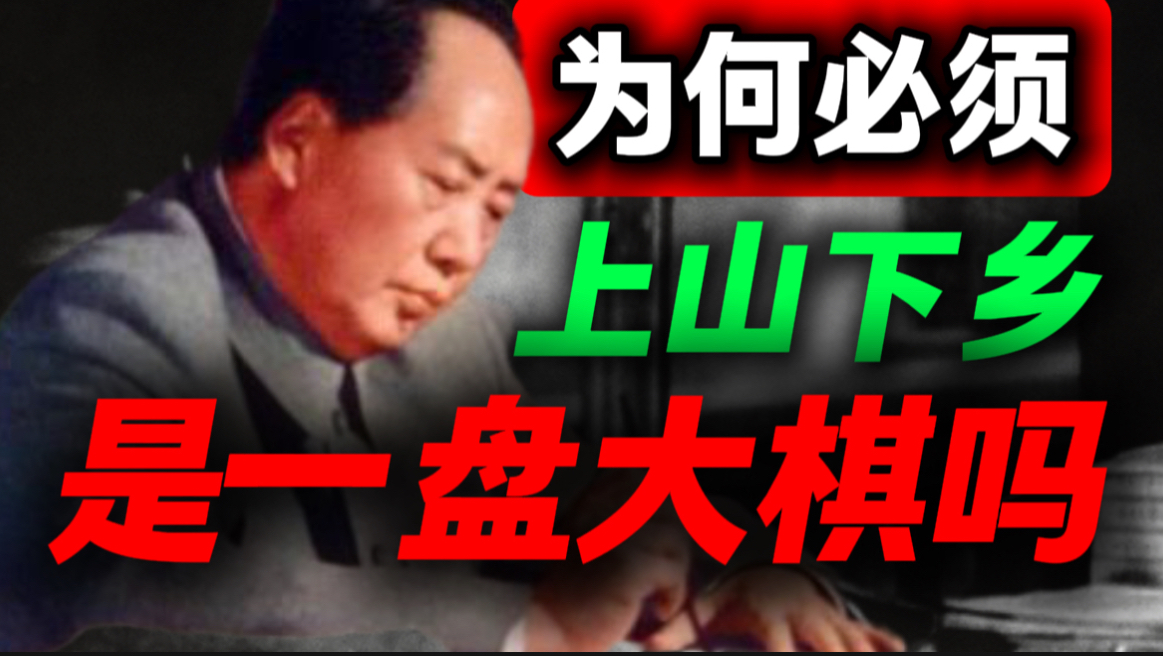 主席晚年，为何一定要送知识青年上山下乡｜第105期｜毛选解读｜毛选思维｜伟人思想