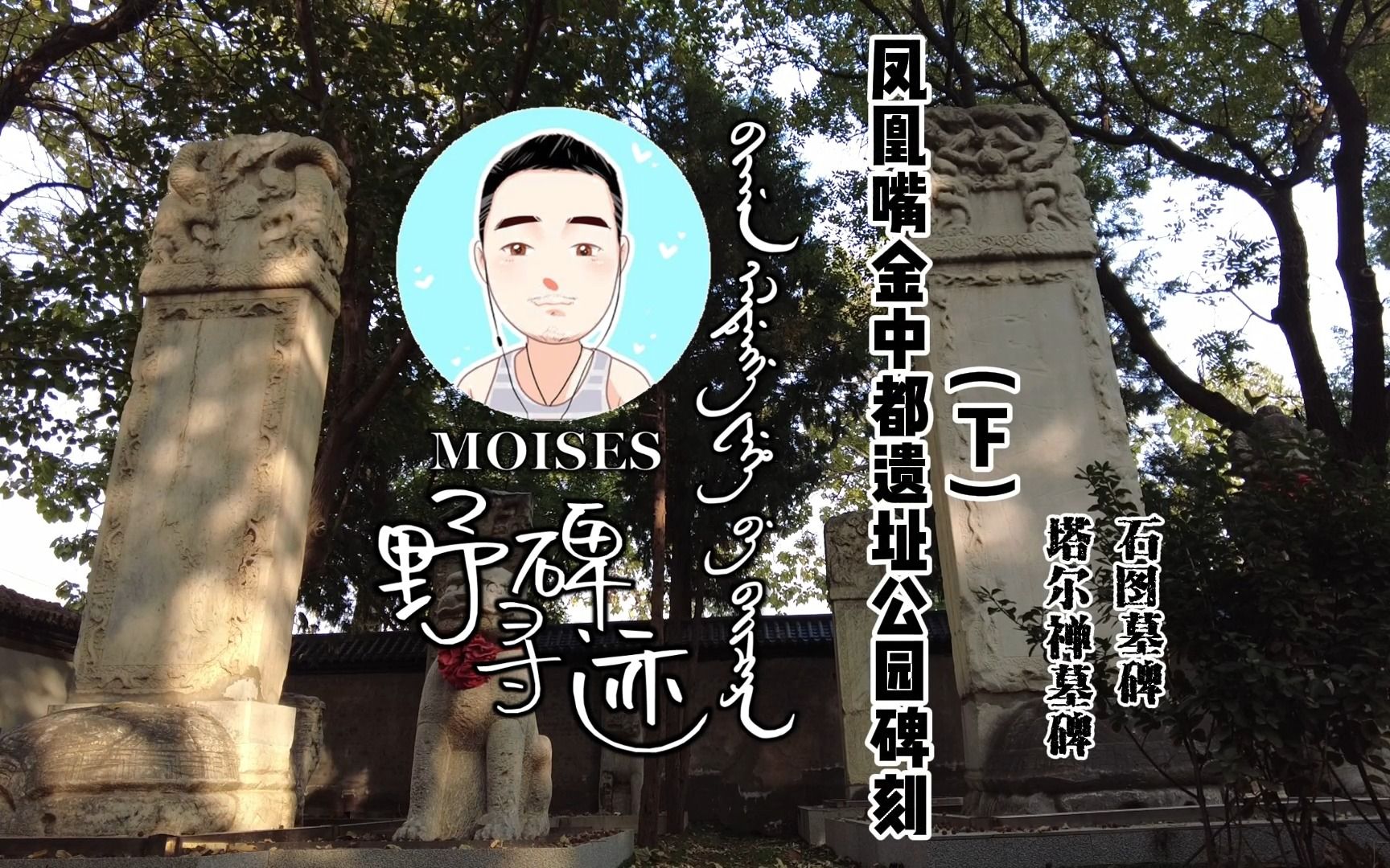 【野碑寻迹】凤凰嘴金中都遗址公园碑刻(下)——塔尔禅墓碑,石图墓碑