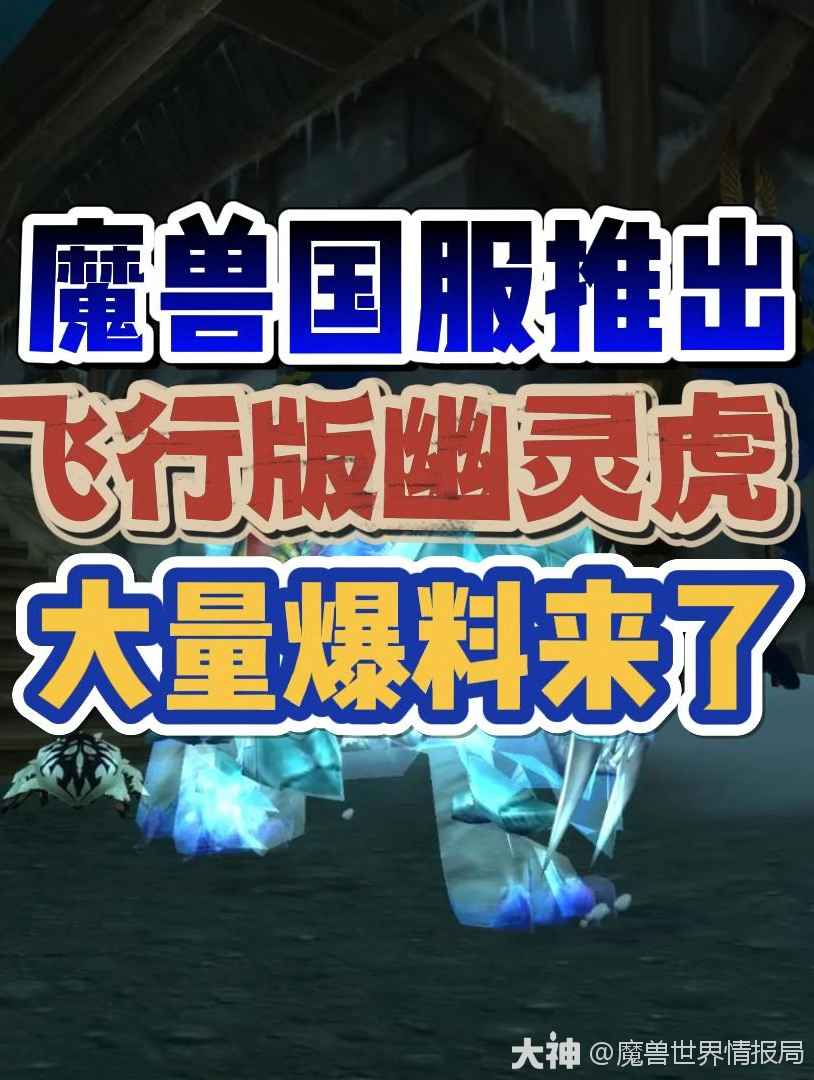 魔兽国服推出飞行幽灵虎!60服开服时间确定!大量爆料来了!